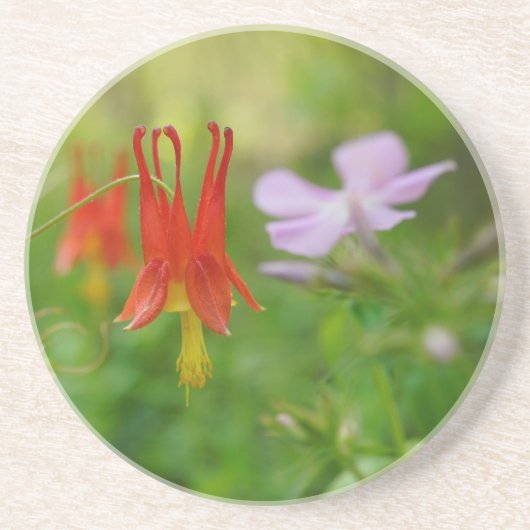 ネイチャーズクラウン コースター (正面)