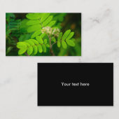 ネイチャーズグローリー | 名刺 (正面/裏面)