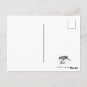 ネイチャーズジェスターとセージ ポストカード (裏面)