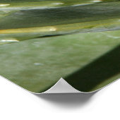 ネイチャーズフラクタル ポスター (角)