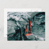 ネイチャーズラバフューリー ポストカード (正面/裏面)