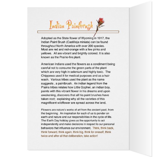 ネイチャーズワイルドフラワーインディアンペイントブラシ (内側 (左))