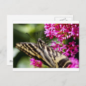 ネイチャーズ美しい ポストカード (正面/裏面)