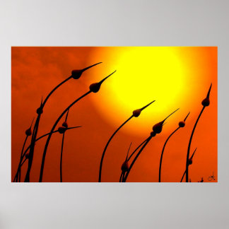 ネイチャーデザインポスター ポスター