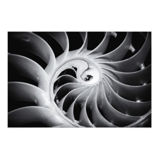 ネイチャーデザイン フォトプリント            (正面)