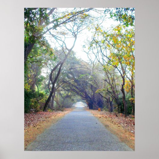 ネイチャーパスポスター ポスター (正面)