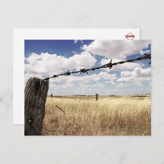 ネイチャー境界はがき ポストカード (正面/裏面)