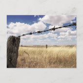 ネイチャー境界はがき ポストカード (正面)