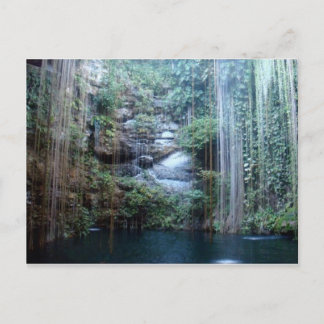 ネイチャー最高傑作 ポストカード