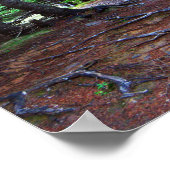 ネイチャー階段ポスター ポスター (角)