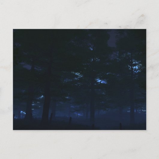 ネイチャー・シークレットはがき ポストカード (正面)