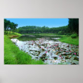 ネイチャーtouch ポスター (正面)