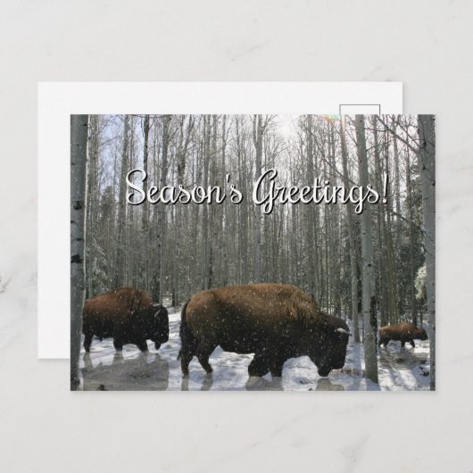 ネイティブアメリカンビソンの季節のグリーティングカード シーズンポストカード (正面/裏面)