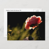 ネイバーズガーデン ポストカード (正面/裏面)