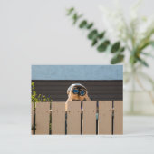 ネイバーポストカードの表示 ポストカード (スタンド正面)