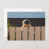 ネイバーポストカードの表示 ポストカード (正面/裏面)