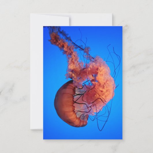 ネイビエレガントーク航海のクラゲ結婚沿岸 出欠カード (裏面)