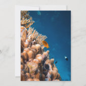 ネイビーアンダーウォーターフィッシュリーフ沿岸ブライダルシャワー 招待状 (裏面)