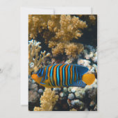 ネイビーアンダーザシーフィッシュリーフコーストビーチ結婚式 招待状 (裏面)