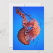 ネイビーエレガントブルークラゲ航海のブライダルシャワー 招待状 (裏面)