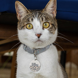 ネイビーブルーとピンクのレトロ/世紀中頃のサークル ペット　ネームタグ