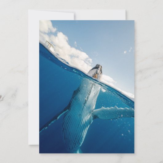 ネイビーブルーの航海士の海のクジラのボヘミアンビーチウェディング セーブザデート (裏面)