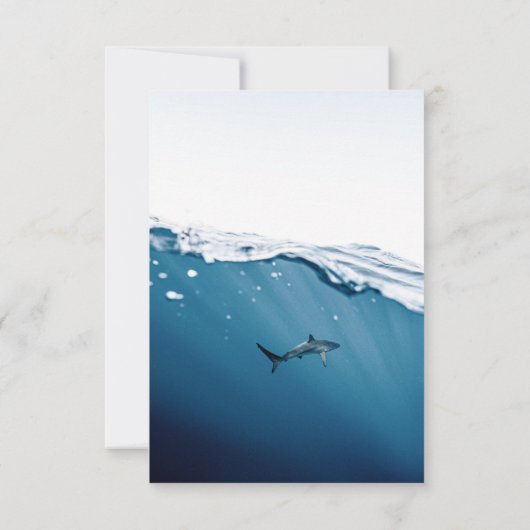 ネイビーブルーアンダーウォーターシャーク航海のビーチ結婚式 出欠カード (裏面)