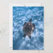 ネイビーブルーアンダーウォーター水中競技カメビーチ結婚式 セーブザデート (裏面)