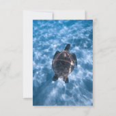 ネイビーブルーアンダーウォーター水中競技カメビーチ結婚式 出欠カード (裏面)