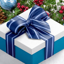 ネイビーブルーツートーン航海のストライプ