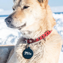 ネイビーブルーレトロ