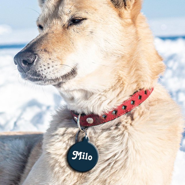 ネイビーブルーレトロ ペット　ネームタグ (クリエイターアップロード済み)