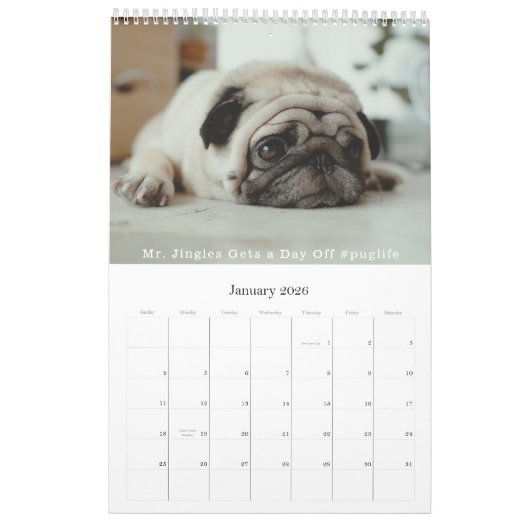 ネイビーモダンブルーカラーブロックファミリーフォトコラージュ カレンダー (1月 2026)