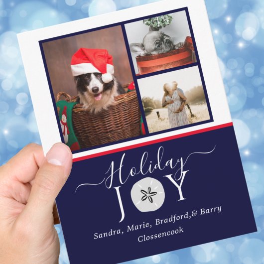 ネイビー航海のジョイ砂ドル写真クリスマスカード