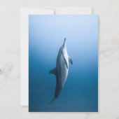 ネイビー アンダーザシー ドルフィン コースト ブライズシャワー 招待状 (裏面)