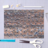 ネイルが付いている素朴で古い風化させた木 薄葉紙 (クラフト)