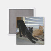 ネオとイザベル磁石 マグネット (正面/裏面)