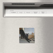 ネオとイザベル磁石 マグネット (インサイチュ (食洗機))