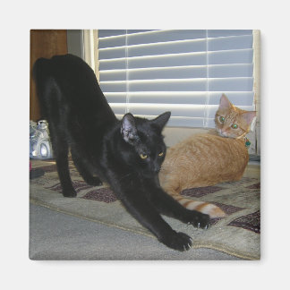 ネオとイザベル磁石 マグネット