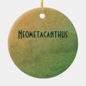 ネオメタカンサス化石トリロバイト セラミックオーナメント (裏面)