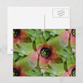 ネオレゲリアブロメリアドトスサラダ ポストカード (正面/裏面)