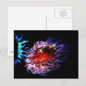 ネオンいそぎんちゃく ポストカード (正面/裏面)