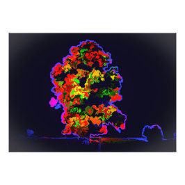 ネオンの木の爆発 フォトプリント           