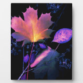 ネオンの紅葉 フォトプラーク (正面)