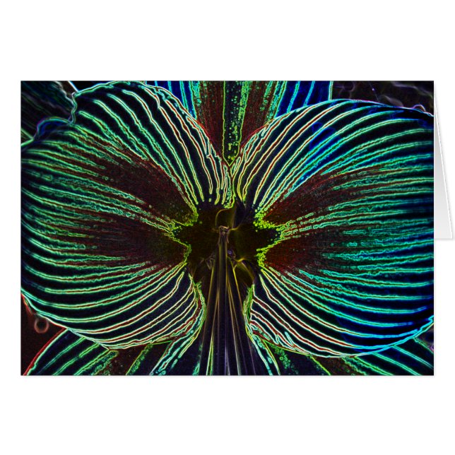 ネオンアマリリス (正面横)