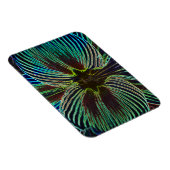 ネオンアマリリス マグネット (右側)