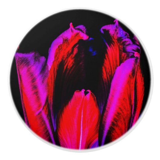 ネオングローチューリップ セラミックノブ (正面)