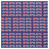 ネオンサンセットシェード ファブリック (見本)
