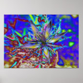 ネオンスター ポスター (正面)