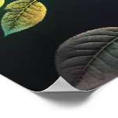 ネオンソーニーバラ ポスター (角)